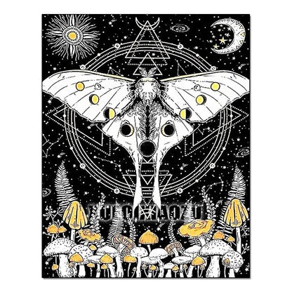 Kit de pintura con diamantes 5D de mariposa para principiantes