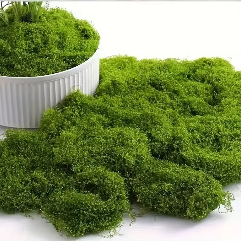 Lifelike Evergreen musgo artificial: Ideal para DIY Crafts, decoración del hogar, bodas &
