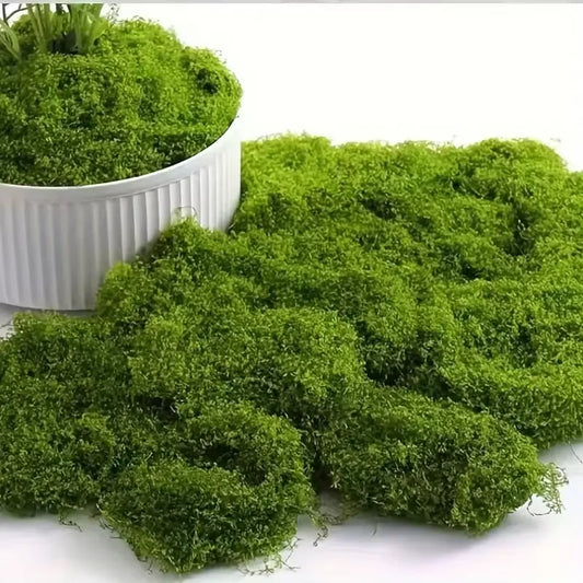 Lifelike Evergreen musgo artificial: Ideal para DIY Crafts, decoración del hogar, bodas &