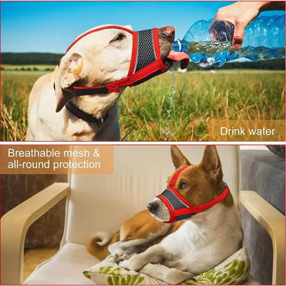 Bozal ajustable y transpirable para perro
