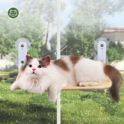 Hamaca de ventana para gatos con ventosas y colchón lavable