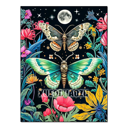 Kit de pintura con diamantes 5D de mariposa para principiantes
