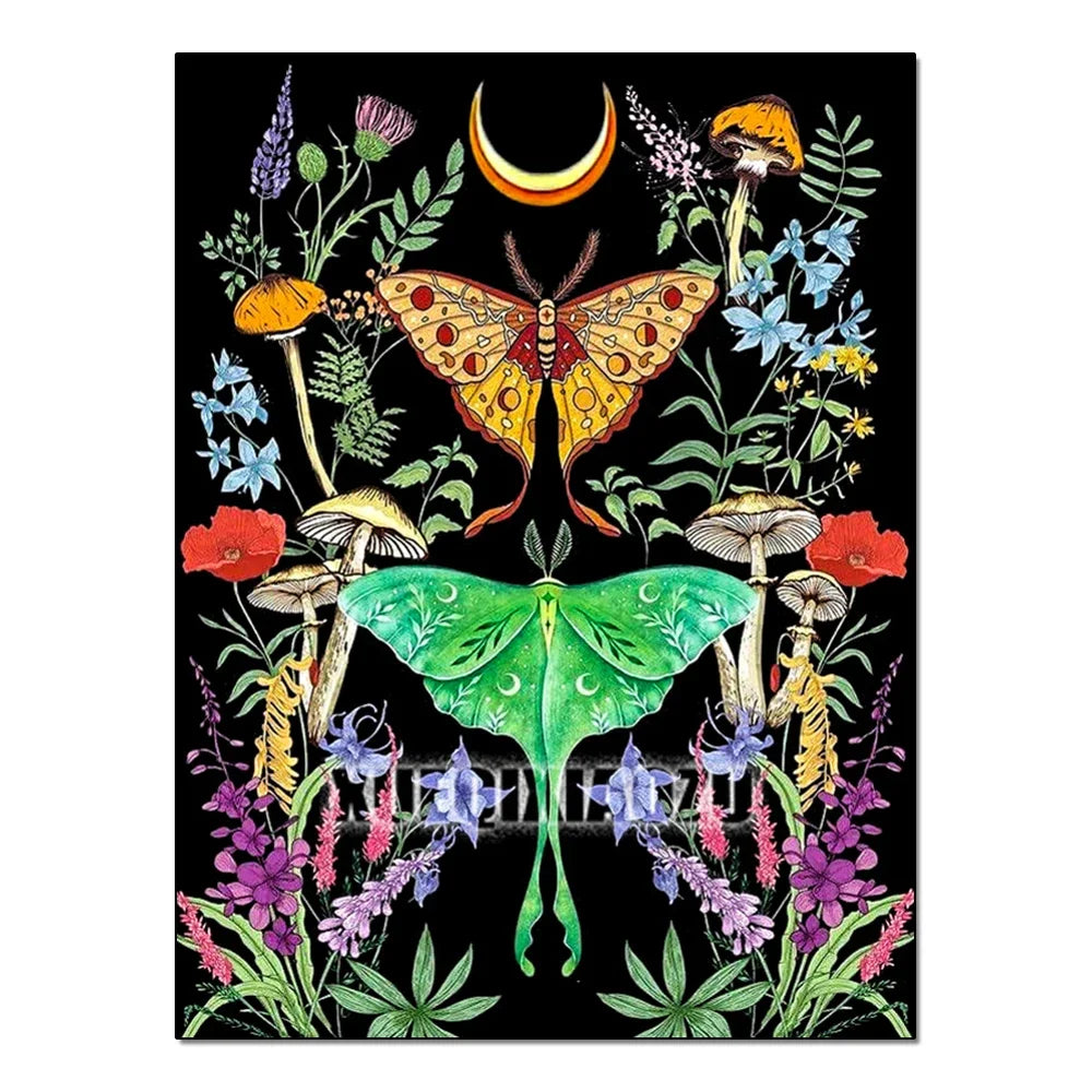 Kit de pintura con diamantes 5D de mariposa para principiantes