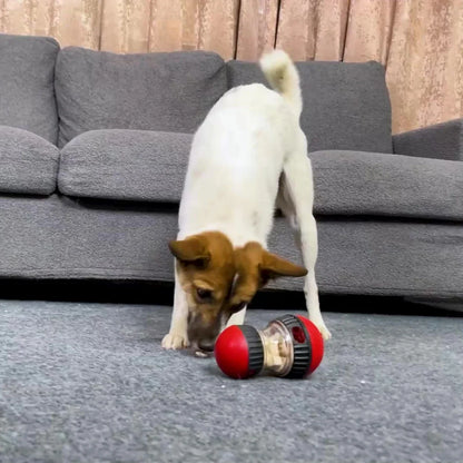 Juguete interactivo IQ para perros y gatos con bola dispensadora