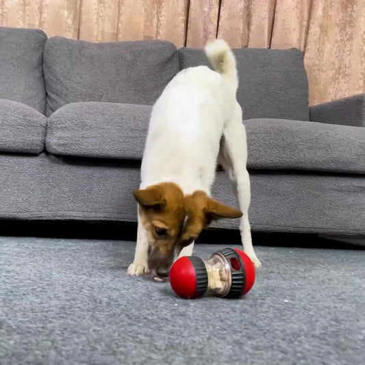 Juguete interactivo IQ para perros y gatos con bola dispensadora